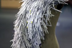 IMG_1828